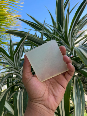 Sea Moss Homies: Honey Cedarwood Soap